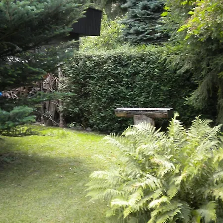 Uroczy Z Ogrodem I Tarasem Orman Evi Myślenice